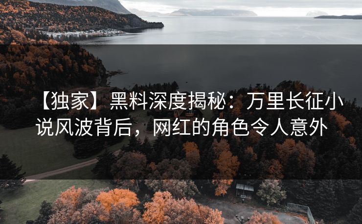 【独家】黑料深度揭秘：万里长征小说风波背后，网红的角色令人意外