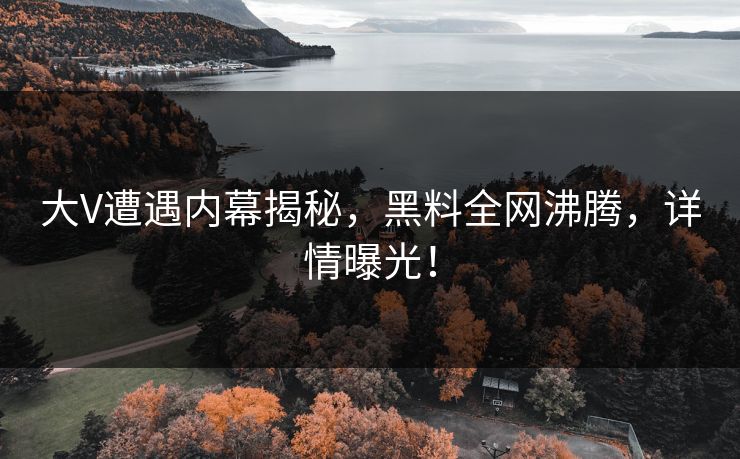 大V遭遇内幕揭秘，黑料全网沸腾，详情曝光！  第1张