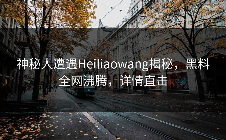 神秘人遭遇Heiliaowang揭秘，黑料全网沸腾，详情直击  第1张