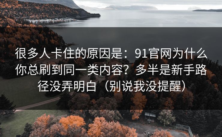 很多人卡住的原因是：91官网为什么你总刷到同一类内容？多半是新手路径没弄明白（别说我没提醒）